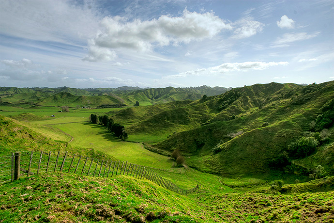 Fency Hills
