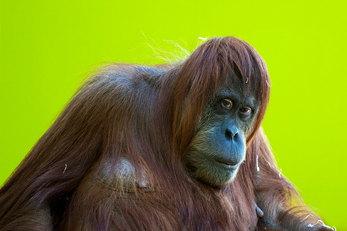 Are you talking to me?