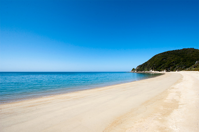 The Beach