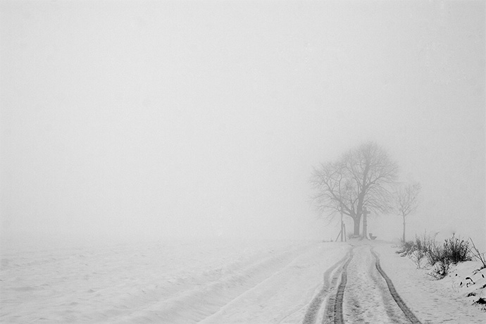The Dark White