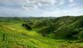 Fency Hills