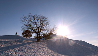 Sunny Side Up