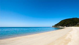 The Beach