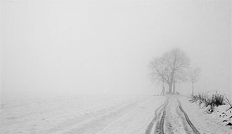 The Dark White