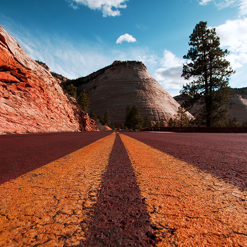Checkerboard Mesa – Synapsee